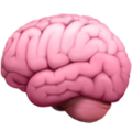 cervello
